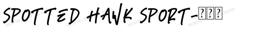 SPOTTED HAWK SPORT字体转换